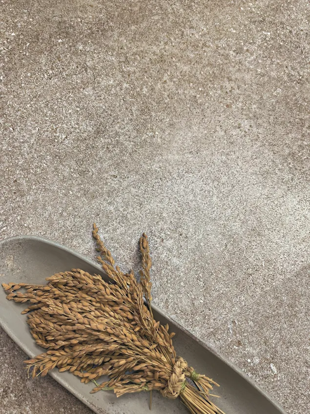 https://kerasfera.ru/collections/86804/ PLAZA TAUPE 60X60.jpg