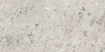 Ambrossia Greige 60x120 плитка