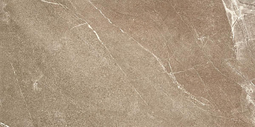 Bodo Mocca Mate Rect. 59.5x120 плитка